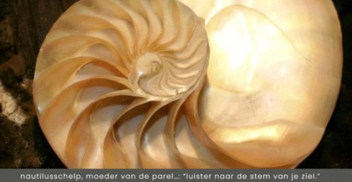 Holistische retraites