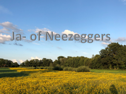 Ja- of Neezeggers