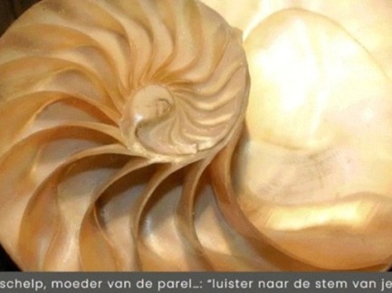 Holistische retraite